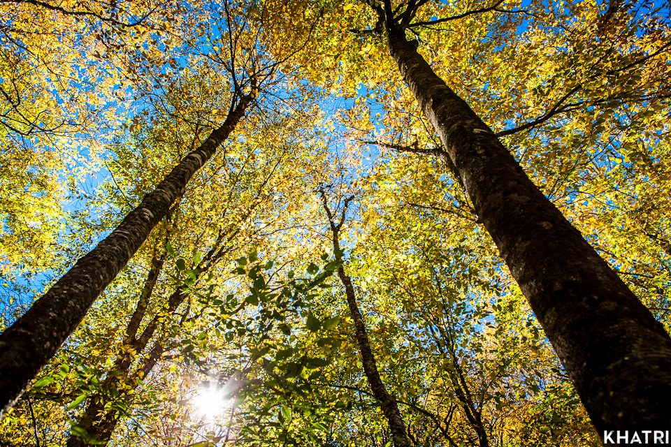 Smoky-Mountain-New-Jersey-Photographer-9