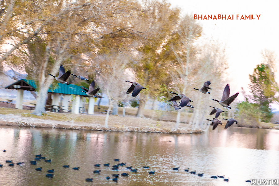 Bhanabhai-Family-New-Jersey-Photography-35