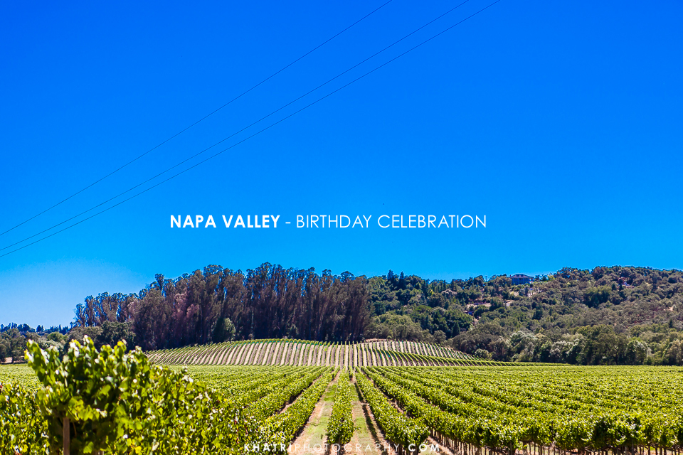 Napa-Trip-New-Jersey-Photography-14